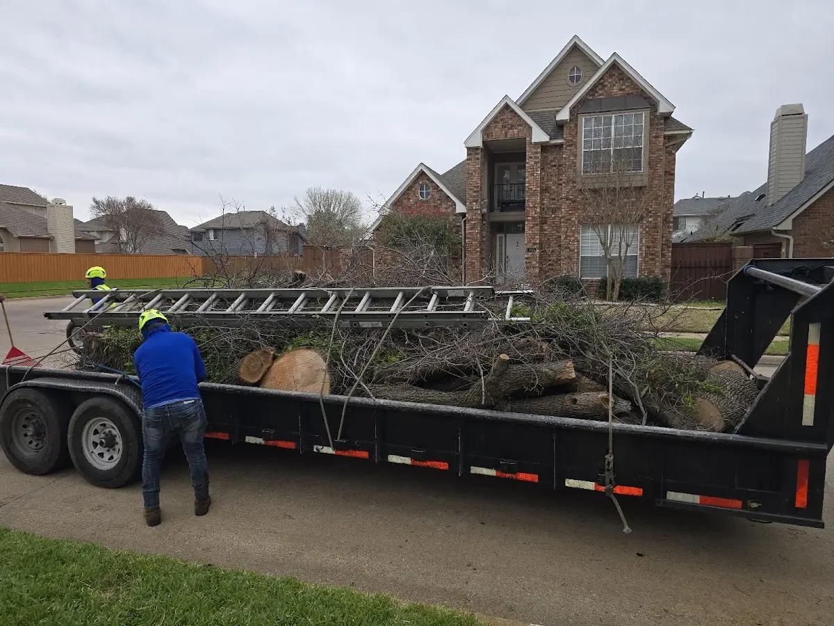 Expert Tree Fertilization with proper safety equipment in Bluefield